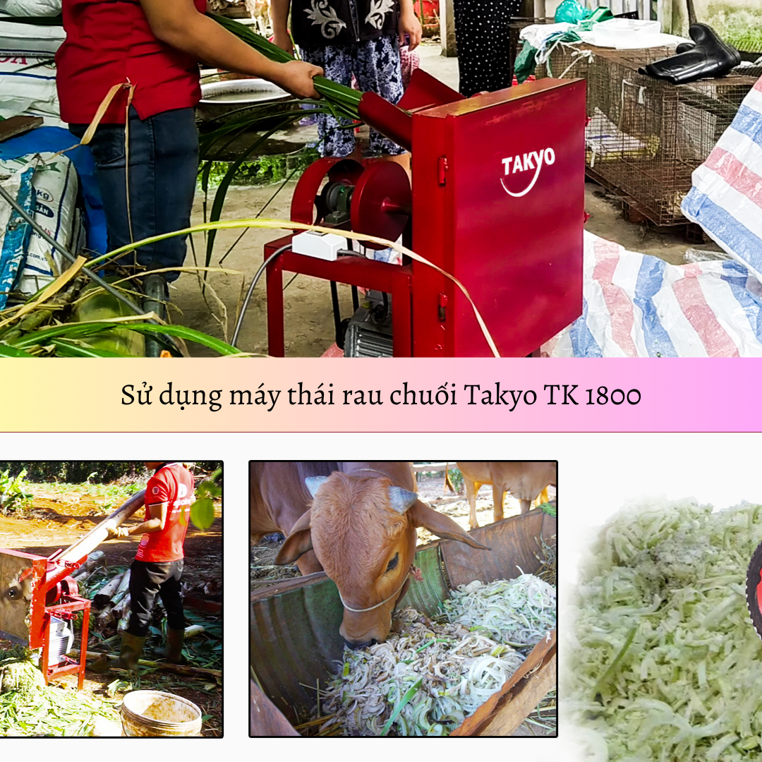 Về cách sử dụng của máy thái rau chuối Takyo TK 1800 vô cùng đơn giản và tiện lợi.