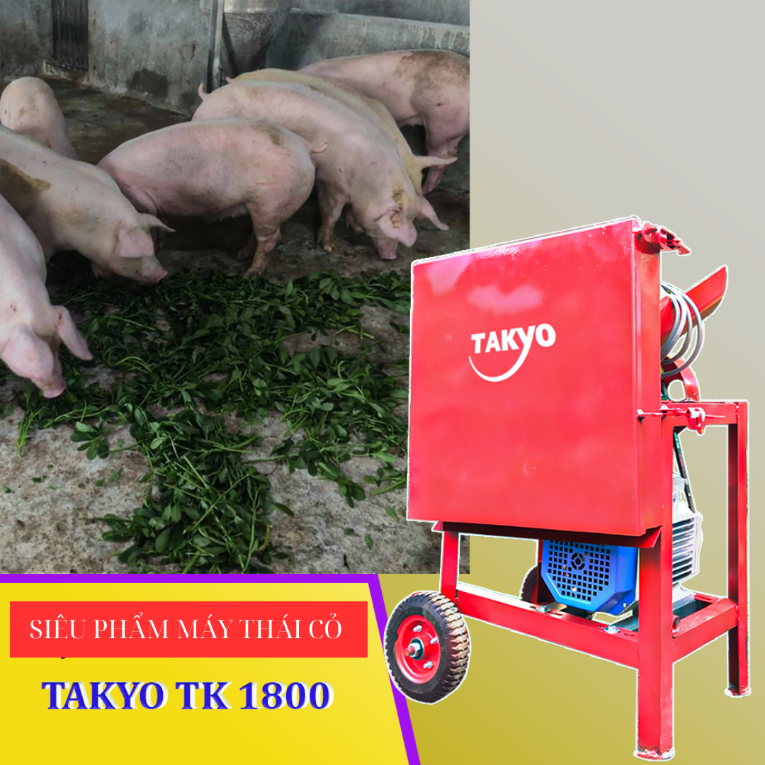 Thành phẩm của máy thái cỏ Takyo TK 1800 có kích thước nhỏ hơn giúp heo ăn dễ dàng