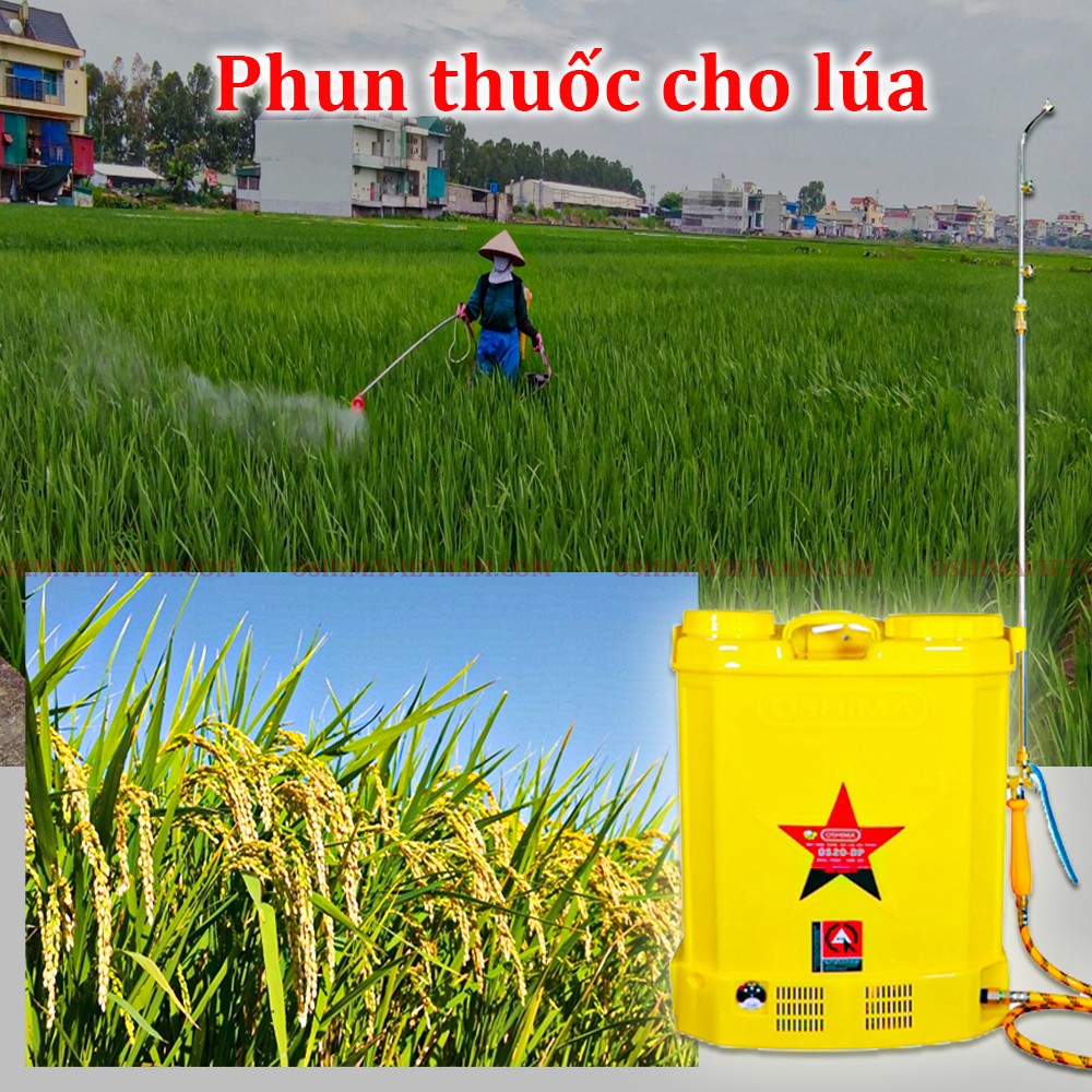 Bình xịt điện oshima mini sử dụng để phun thuốc trừ sâu cho lúa