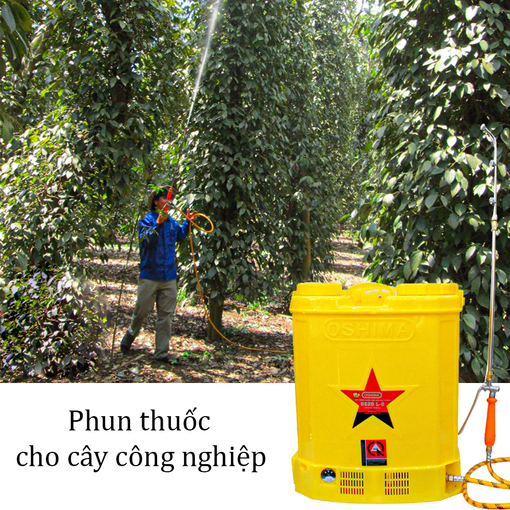 Bình xịt điện oshima sử dụng để phun thuốc, tưới cây cho tiêu