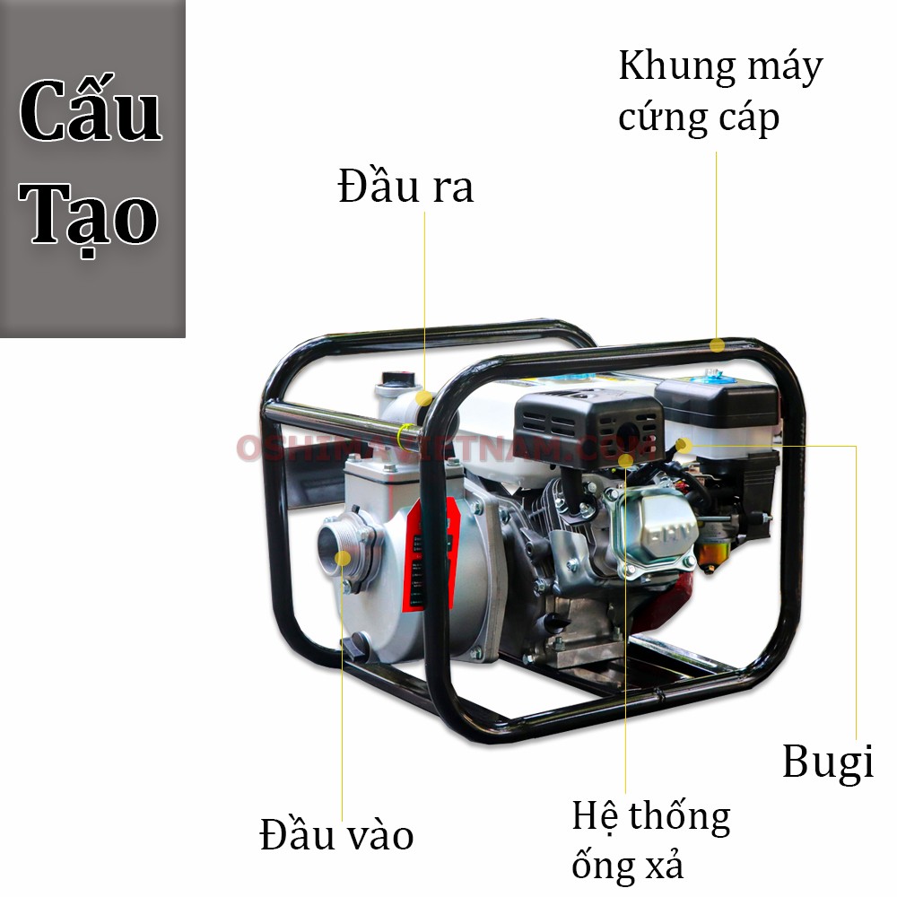 Cấu tạo của máy bơm nước Dragon D20