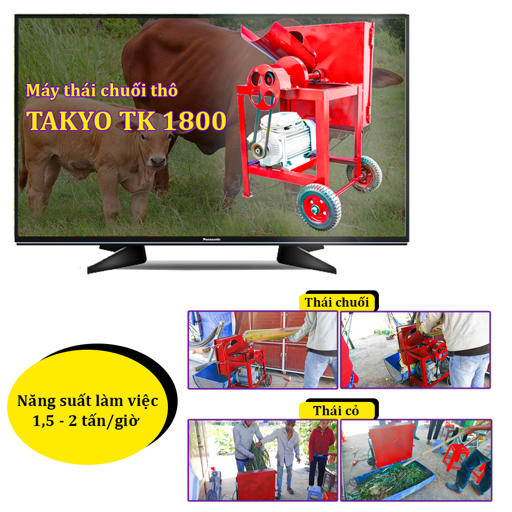 Máy thái chuối Takyo TK 1800 sẽ thái thành phẩm là cây chuối thành những lát mảnh, phù hợp cho gia súc như heo, bò và các loài động vật dưới nước như cá, ốc