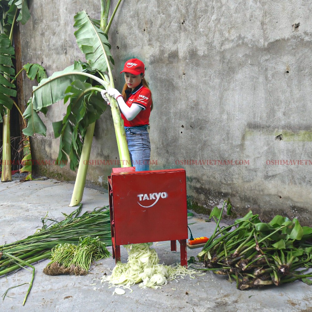 Ngoài tính năn băm cỏ máy còn thái được thân chuối nhỏ cho chăn nuôi heo bò