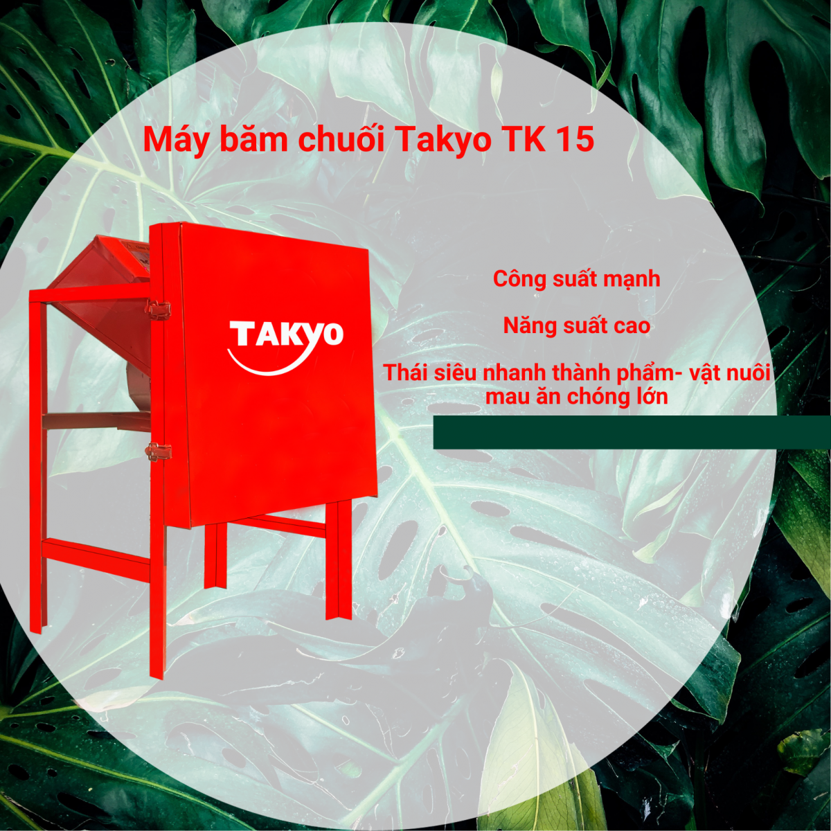 Khung máy thái chuối nhỏ Takyo có thiết kế giúp máy đứng vững, được làm bằng sắt chữ V dày dặn và chắc chắn 