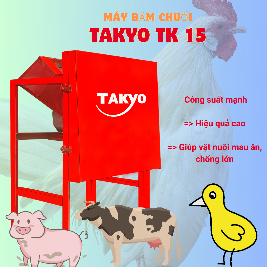 Máy băm chuối chính hãng của Takyo băm được thân cây chuối, thành phẩm rất phù hợp cho gia súc và gia cầm