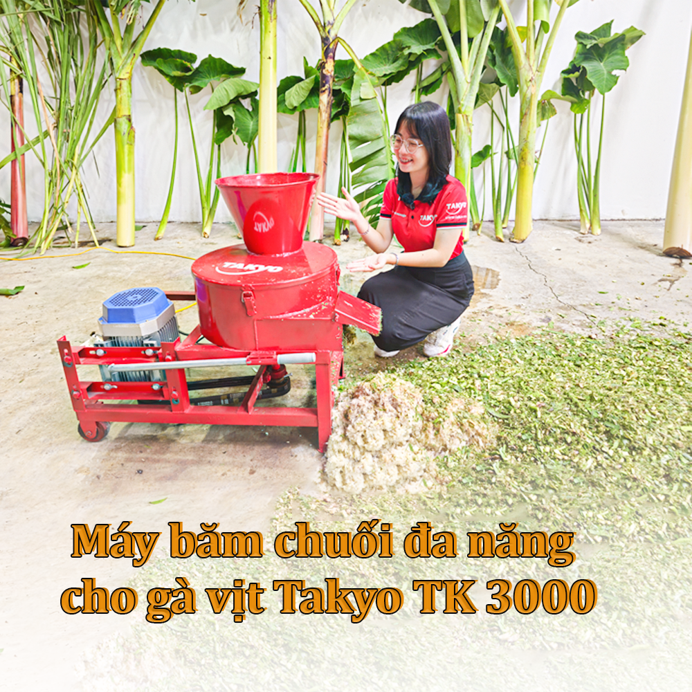 Máy băm chuối đa năng takyo TK 3000 băm thân cây chuối, rau bèo, vỏ voi  cho vật nuôi ăn được dễ dàng