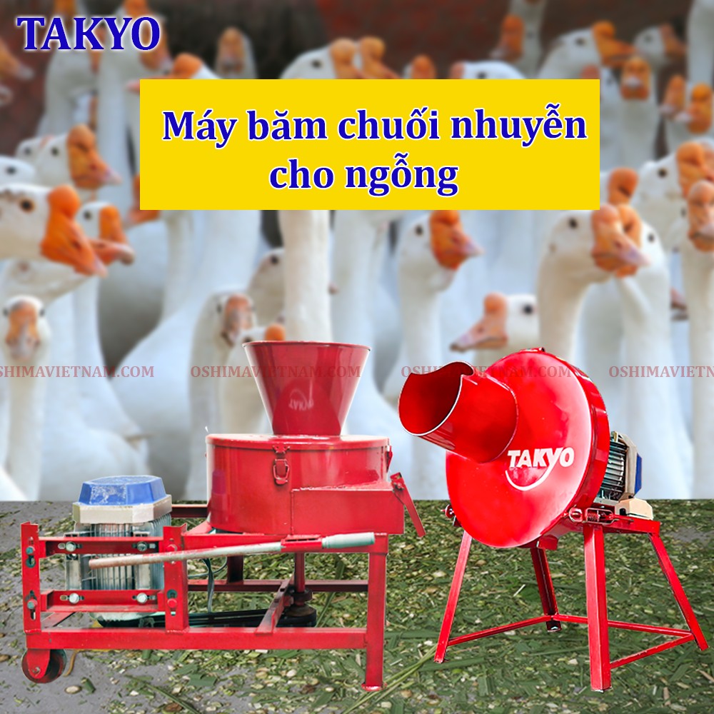 Cung cấp máy băm chuối mịn Takyo cho ngỗng tại Trà Vinh