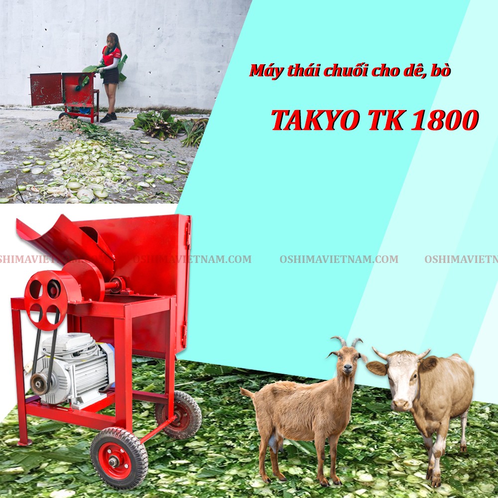 Máy băm thái chuối thô Takyo TK 1800 giá rẻ cho bò, dê