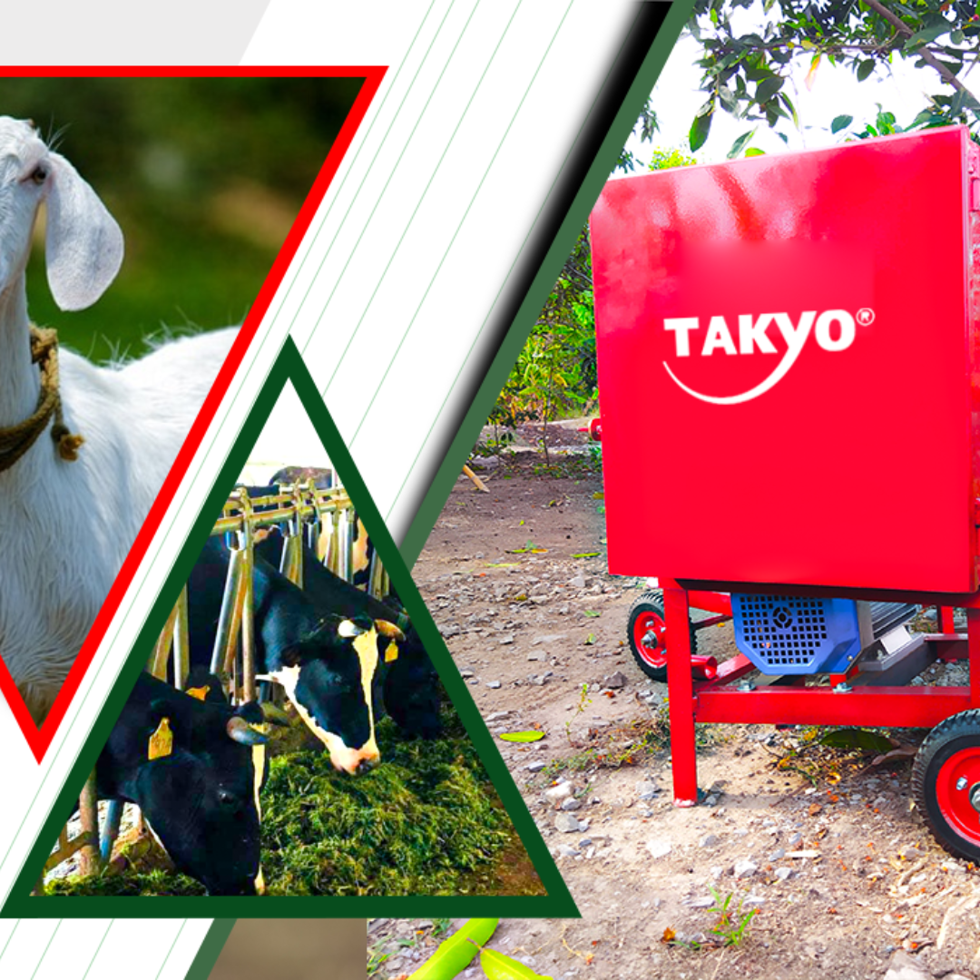 Máy thái cỏ Takyo TK 1800 rất phù hợp để đặt trong gia đình và tạo nguồn thức ăn lát mảnh, nhỏ cho vật nuôi