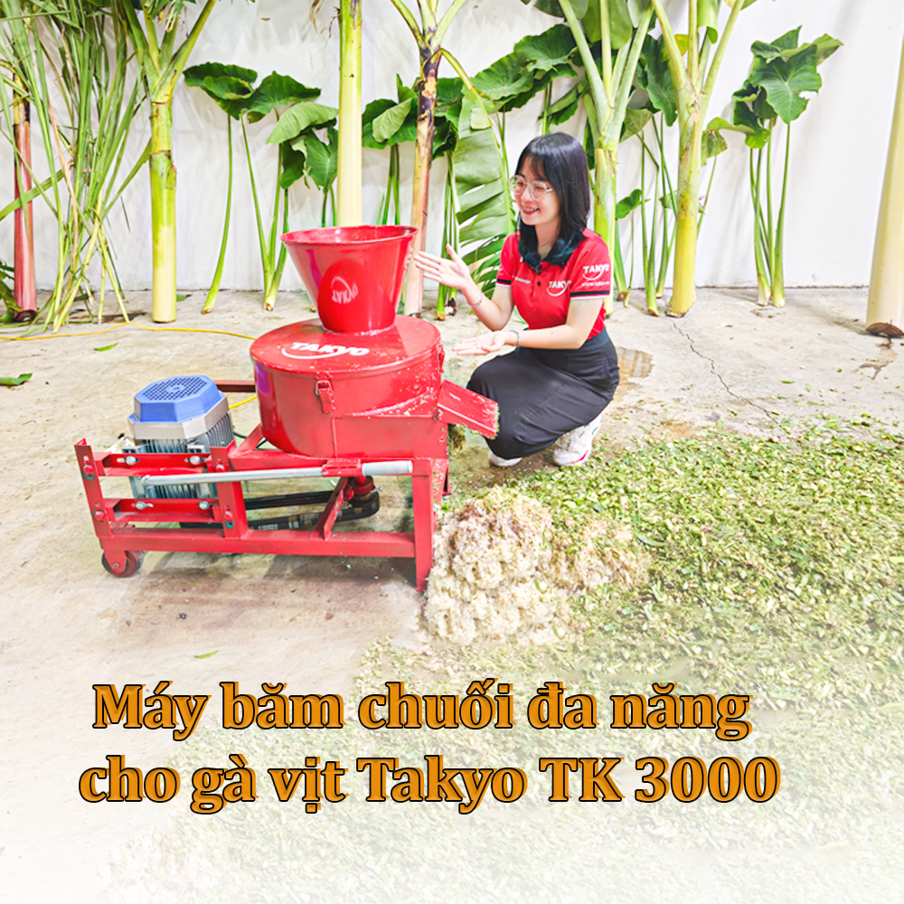 Cách sử dụng máy băm cỏ Takyo TK 3000 cô cùng đơn giản, bà con chỉ cần ghim điện, bật cp lên là đã có thể sử dụng được rồi nhé