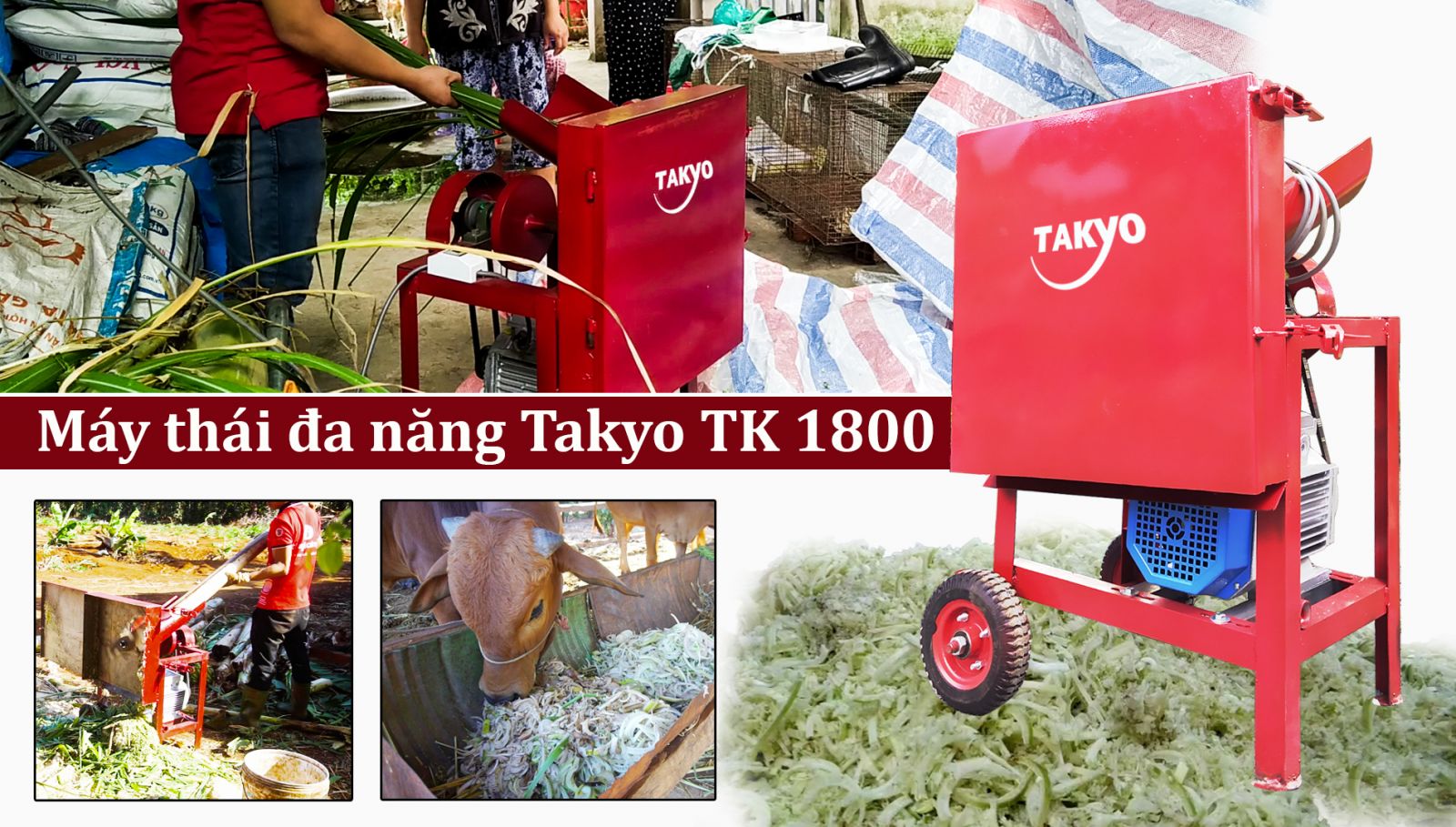 Giới thiệu máy thái chuối đa năng takyo TK 1800