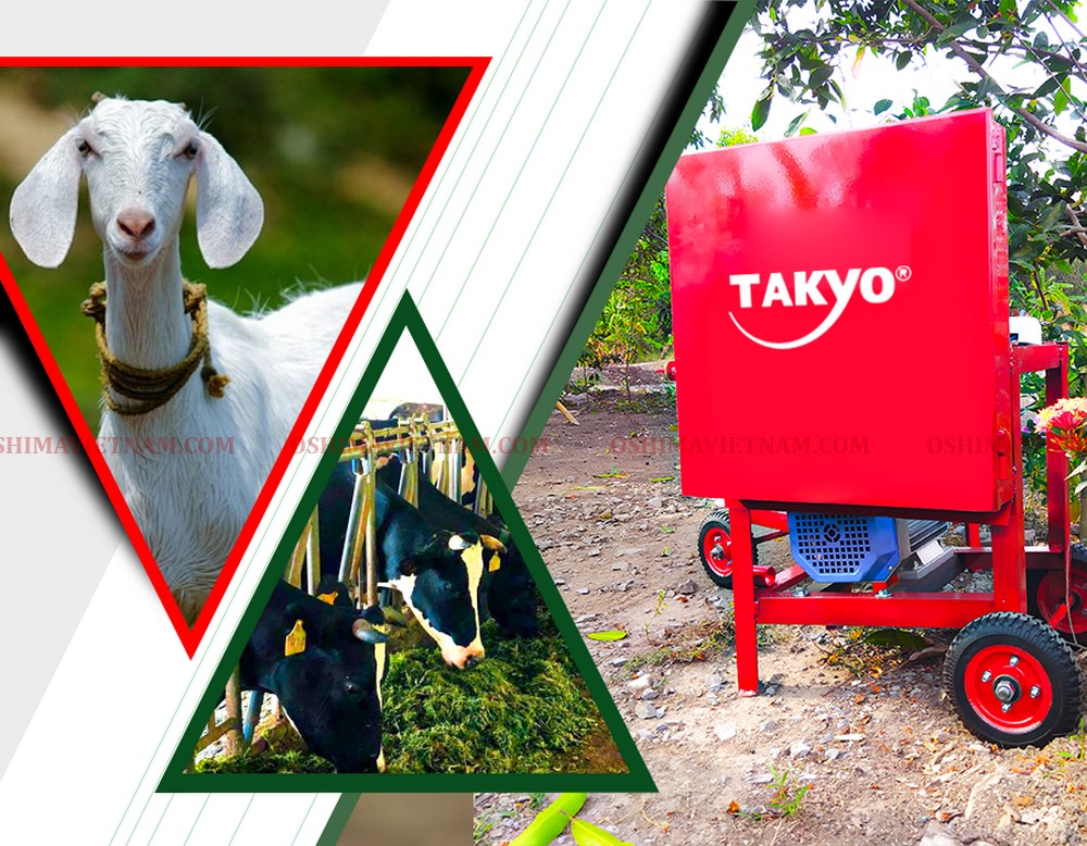 Máy thái rau bèo hỗn hợp Takyo TK 1800 sử dụng phù hợp cho trâu, dê, bò,..
