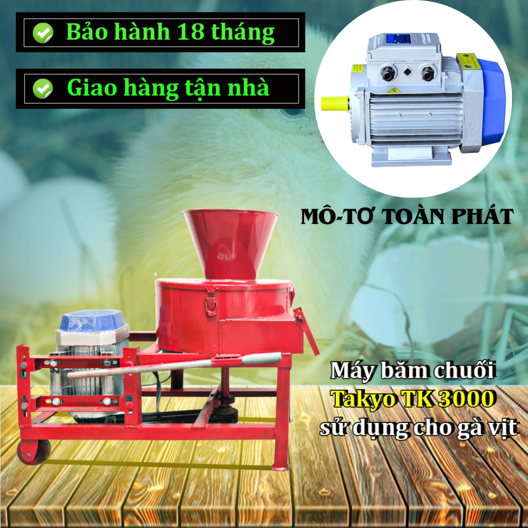 máy băm chuối đa năng sử dụng mô-tơ Toàn Phát có công suất lên đến 3 kW, vỏ được làm bằng hợp kim nhôm còn lõi từ 100 % lõi đồng cho ra khả năng làm việc mạnh mẽ