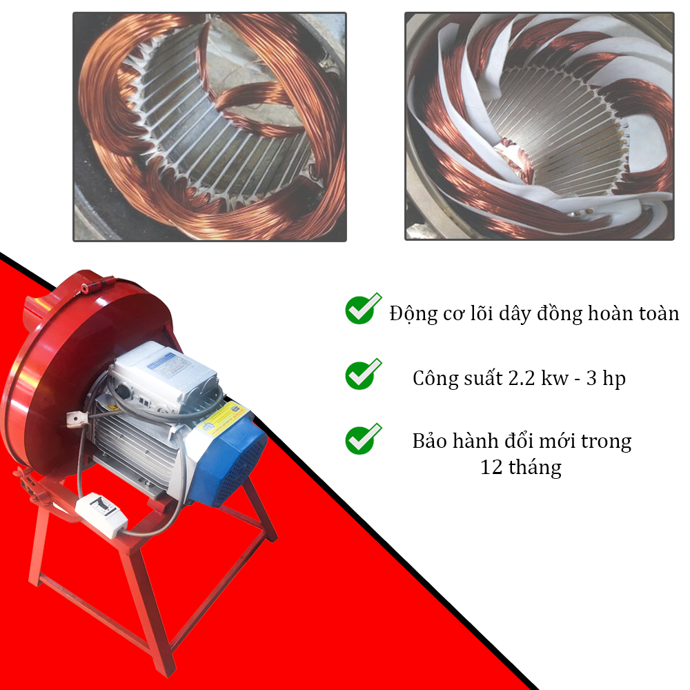 Máy thái cây chuối sử dụng mô tơ Toàn Phát 100% lõi đồng