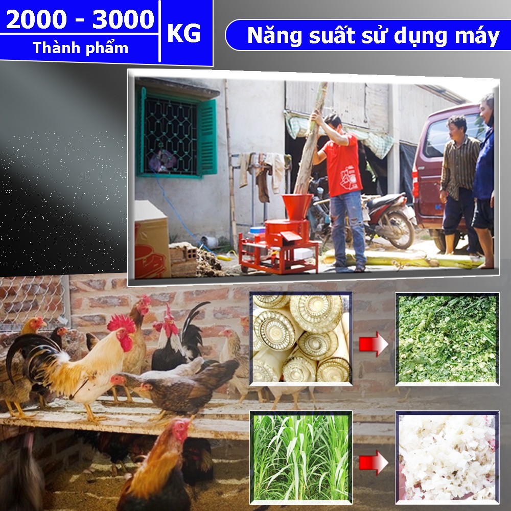 năng suất của máy băm thái chuối takyo 3000