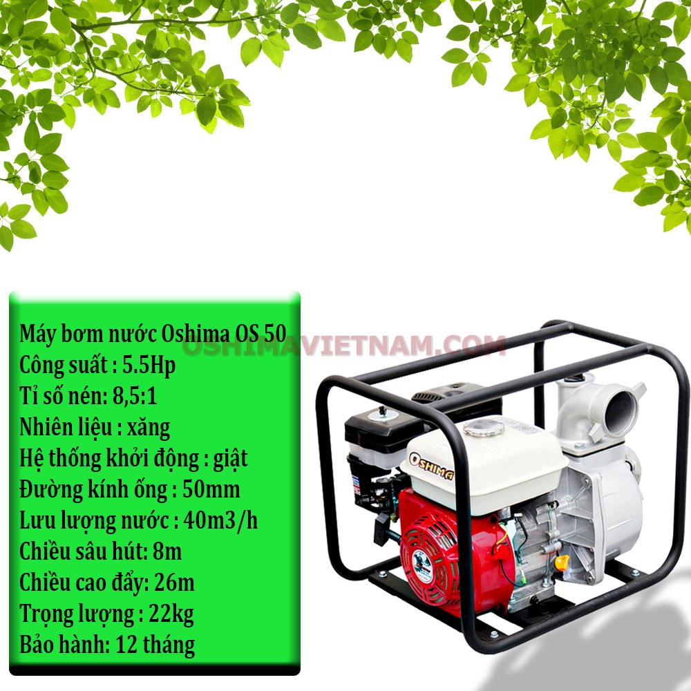 Thông số kỹ thuật của máy bơm nước Oshima OS 50