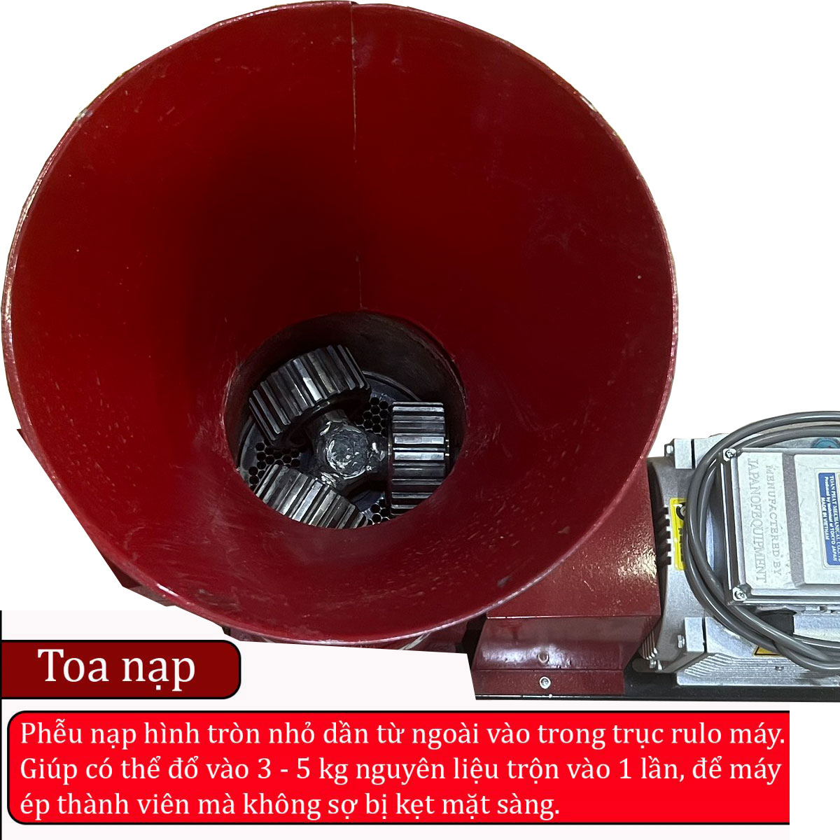 Toa nạp nguyên liệu của máy ép cám viên Takyo Tk 180 - 3 lô hình phễu cao, hình tròn nhỏ dần từ ngoài vào trong trục rulo máy, hướng thẳng đứng giúp bà con dễ dàng 